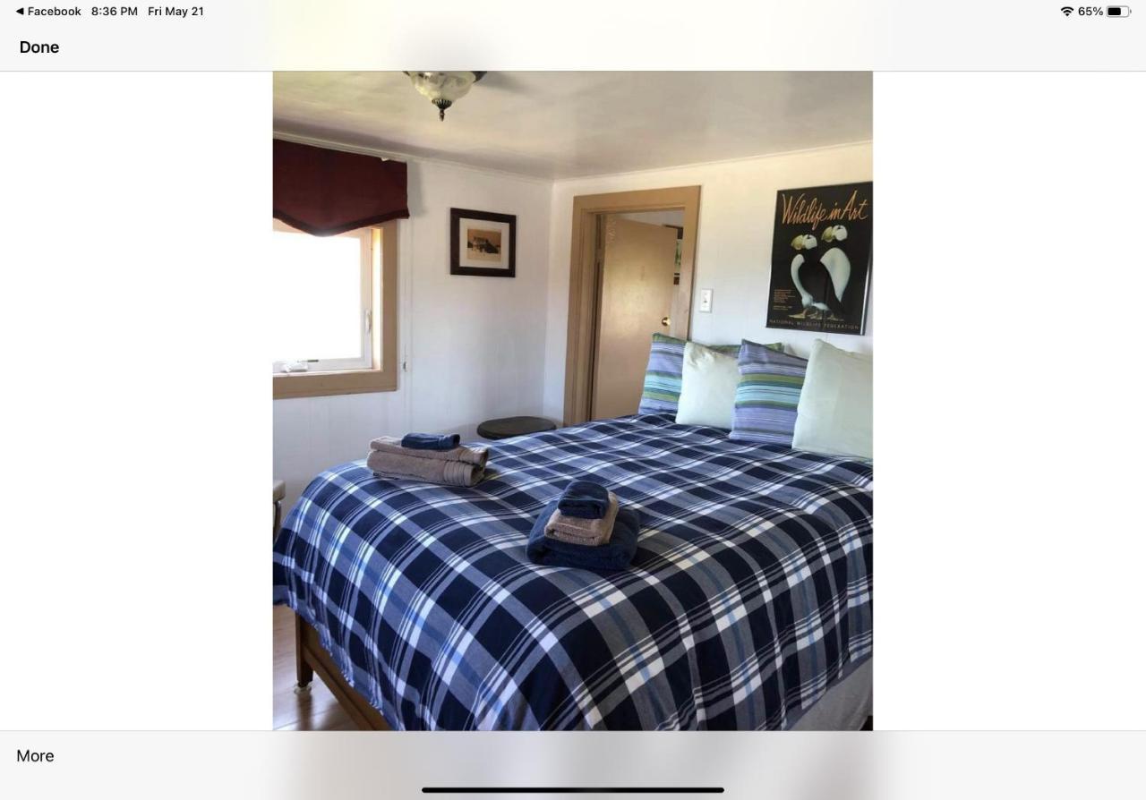 Bird Island B&B Bed And Bubble Elliston Екстер'єр фото