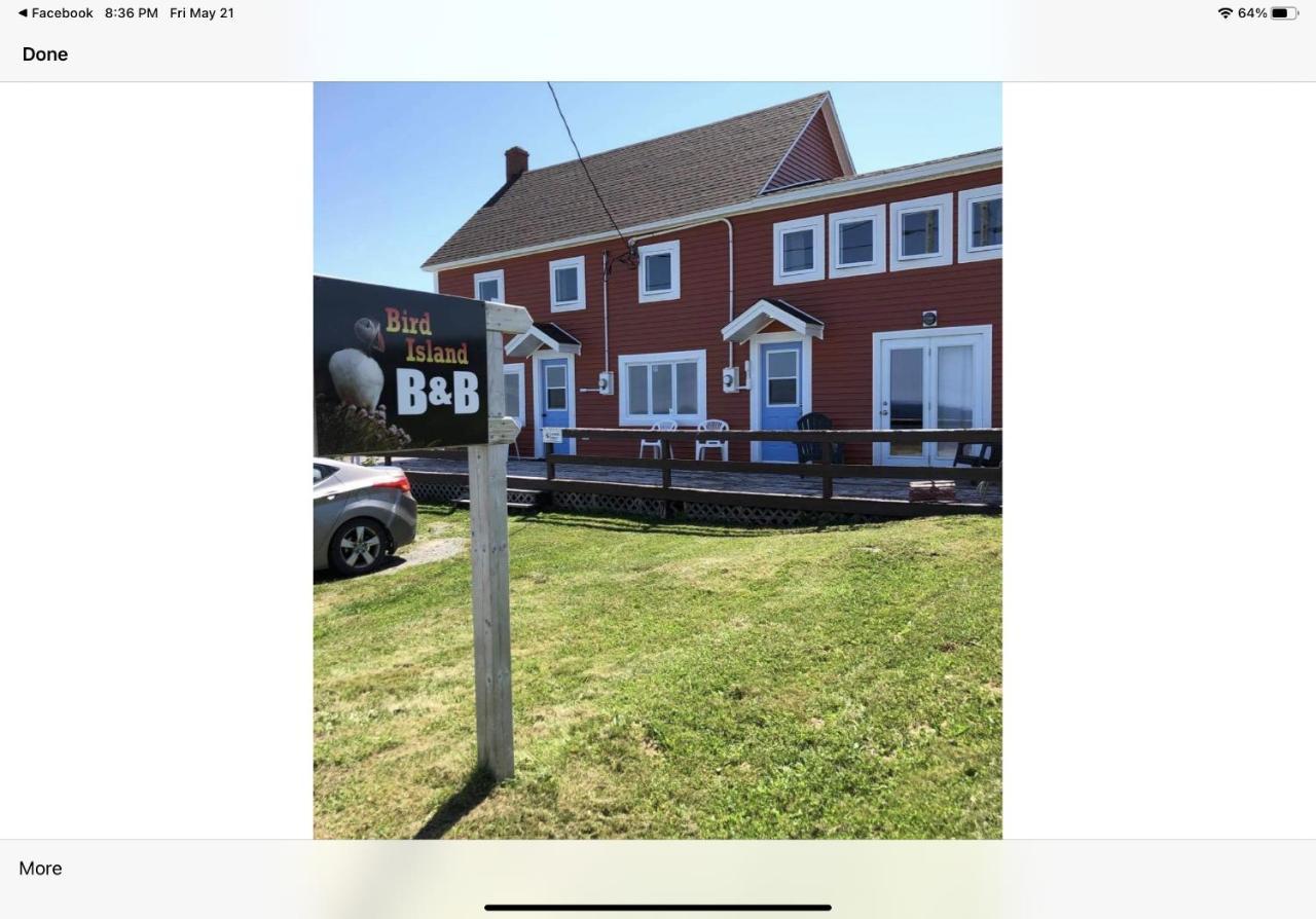 Bird Island B&B Bed And Bubble Elliston Екстер'єр фото