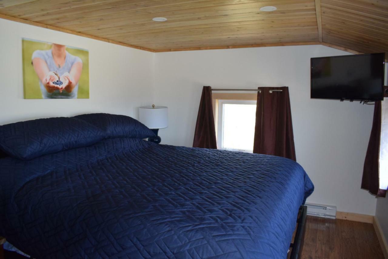 Bird Island B&B Bed And Bubble Elliston Екстер'єр фото