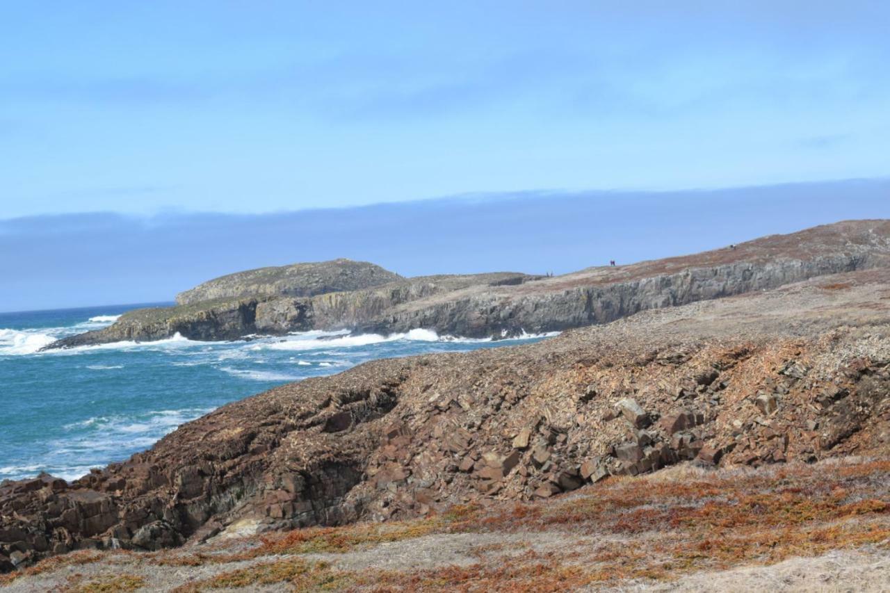 Bird Island B&B Bed And Bubble Elliston Екстер'єр фото