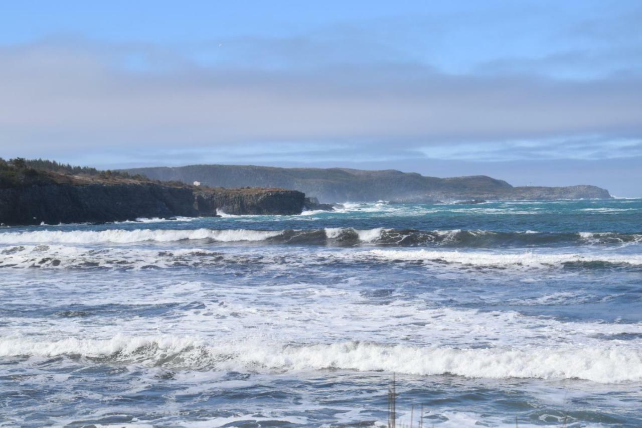 Bird Island B&B Bed And Bubble Elliston Екстер'єр фото